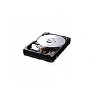 Samsung SpinPoint F1 RAID HE322HJ 16MB 320GB