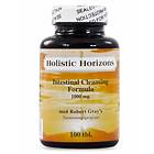 Holistic Horizons Intestinal Cleansing Formula 100 Tabletter