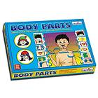 Pre-School Body Parts