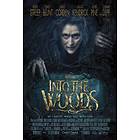 Into the Woods (DVD)