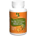 Seabuck Wonders Sea Buckthorn Seed Oil 500mg 60 Kapslar