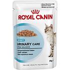 Royal Canin FHN Urinary Care Gravy 12x0.085kg