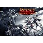 Divinity: Original Sin - Enhanced Edition (PC)