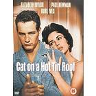 Cat on a Hot Tin Roof (UK) (DVD)