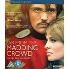 Far from the Madding Crowd (UK) (Blu-ray)