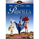 The Adventures of Priscilla, Queen of the Desert (UK) (DVD)