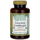 Swanson Superior Garcinia Cambogia 90 Kapsler