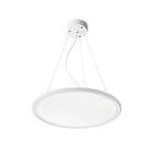 Rendl Moneta LED