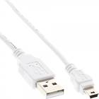 InLine USB A - USB Mini-B 2.0 0.5m