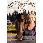 Heartland - Season 8 (UK) (DVD)