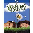 Pushing Daisies - The Complete Season 1 (US) (Blu-ray)