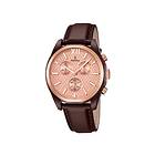 Festina F16863/1
