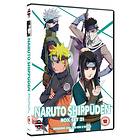 Naruto Shippuden - Box Set 21 (UK) (DVD)