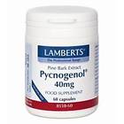Lamberts Pycnogenol 40mg 60 Capsules