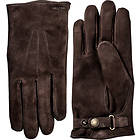 Hestra Robert Glove (Herr)