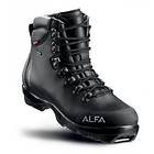 Alfa Quest Advance W