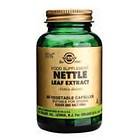 Solgar Nettle Leaf Extract 60 Capsules