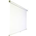 Oray Cineflex Electric Matte White 4:3 118" (240x180)