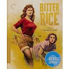 Bitter Rice - Criterion Collection (US) (Blu-ray)