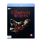 The Company of Wolves (UK) (Blu-ray)