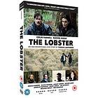 The Lobster (UK) (DVD)