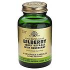 Solgar Bilberry Berry Extract with Blueberry 60 Capsules