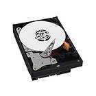 WD AV-GP WD5000AVVS 8MB 500GB