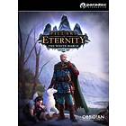 Pillars of Eternity: The White March Part II (Expansion) (PC)