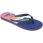 Quiksilver Molokai New Panel (Men's)