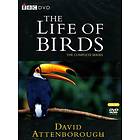 Life of Birds (UK) (DVD)