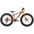 Nishiki Durango 24"