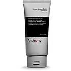 Anthony Logistics For Men Deep Pore Cleansing Clay Mask 90ml