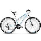 Kross Evado 1.0 Dam