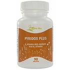 Alpha Plus PyridoxPlus 90 Tablets