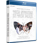 The Stones in the Park (UK) (Blu-ray)