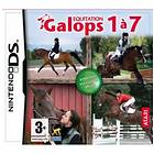 Equitation: Galops 1 à 7 (DS)