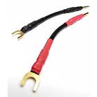 Chord Signature Jumpers 2Banana - 2Spade (par)
