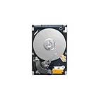 Seagate Momentus 5400.6 ST9250315ASG 8MB 250GB