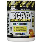 Applied Nutrition Amino-Hydrate BCAA 0,45kg