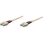 Intellinet Multimode OM1 62,5/125 SC - SC LSZH 5m