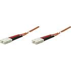 Intellinet Multimode OM2 50/125 SC - SC LSZH 3m