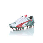 Puma evoSpeed 1.3 Graphic FG (Men's)
