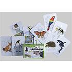 Manimals