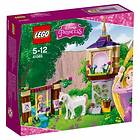 LEGO Disney Princess 41065 Le jardin de Raiponce
