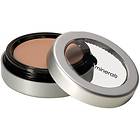 Glo Skin Beauty Camouflage Oil Free Concealer 3.1g