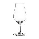 Spiegelau Special Glasses Whiskyprovarglas (150mm) 17cl 2-pack