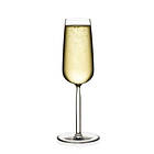 Iittala Senta Champagneglas 21cl 2-pack
