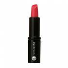 Eva Garden Care Colour Lipstick