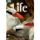 BBC Life: Fish, Birds (DVD)