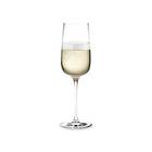 Holmegaard Bouquet Champagne Glass 29cl 6-pack